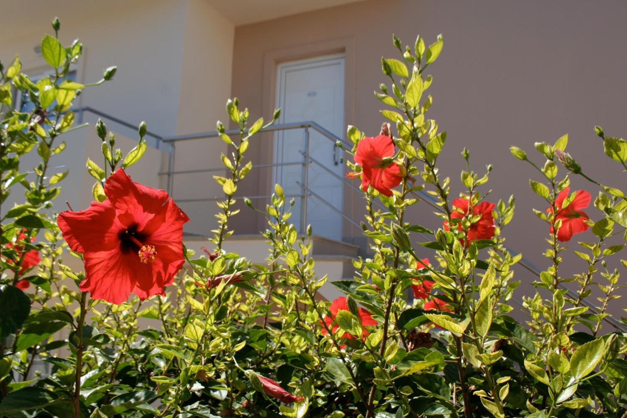 Amaryllis Front Beach Hotel Lardos Ngoại thất bức ảnh