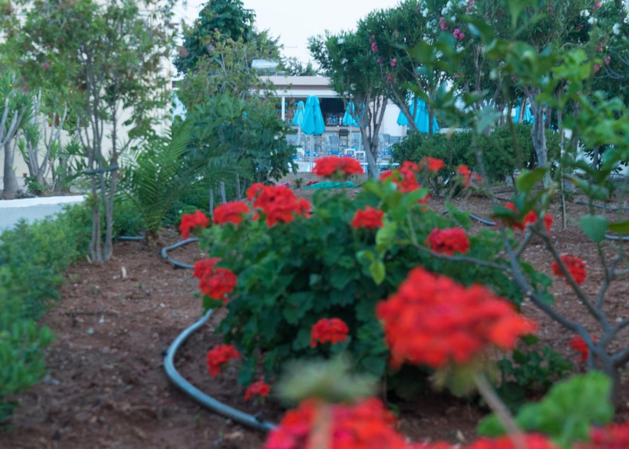 Amaryllis Front Beach Hotel Lardos Ngoại thất bức ảnh